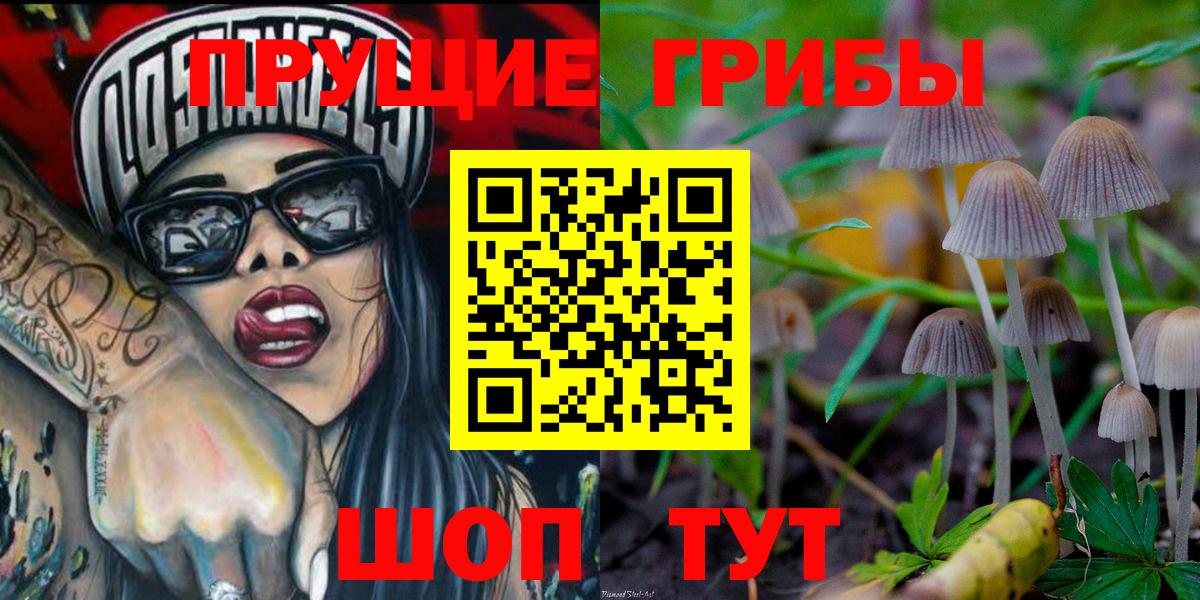 Нижний Тагил  Галлюциногенные грибы ЛСД  Вход с VPN 