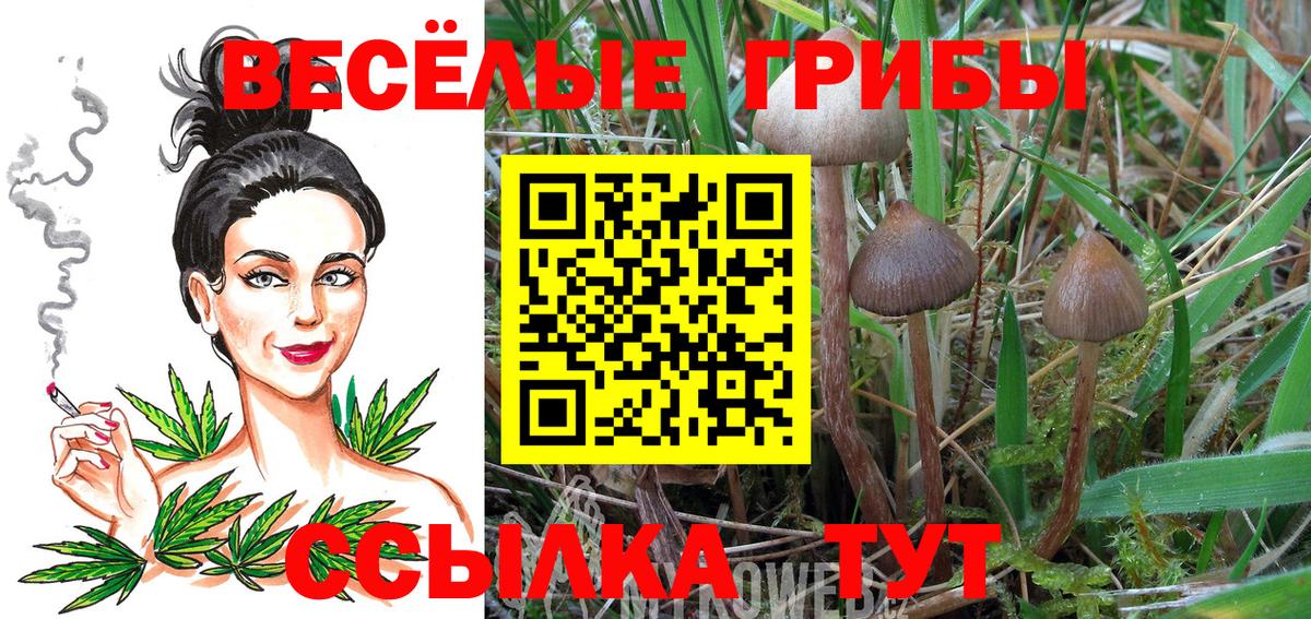 Псилоцибиновые грибы MAGIC MUSHROOMS Нижний Тагил